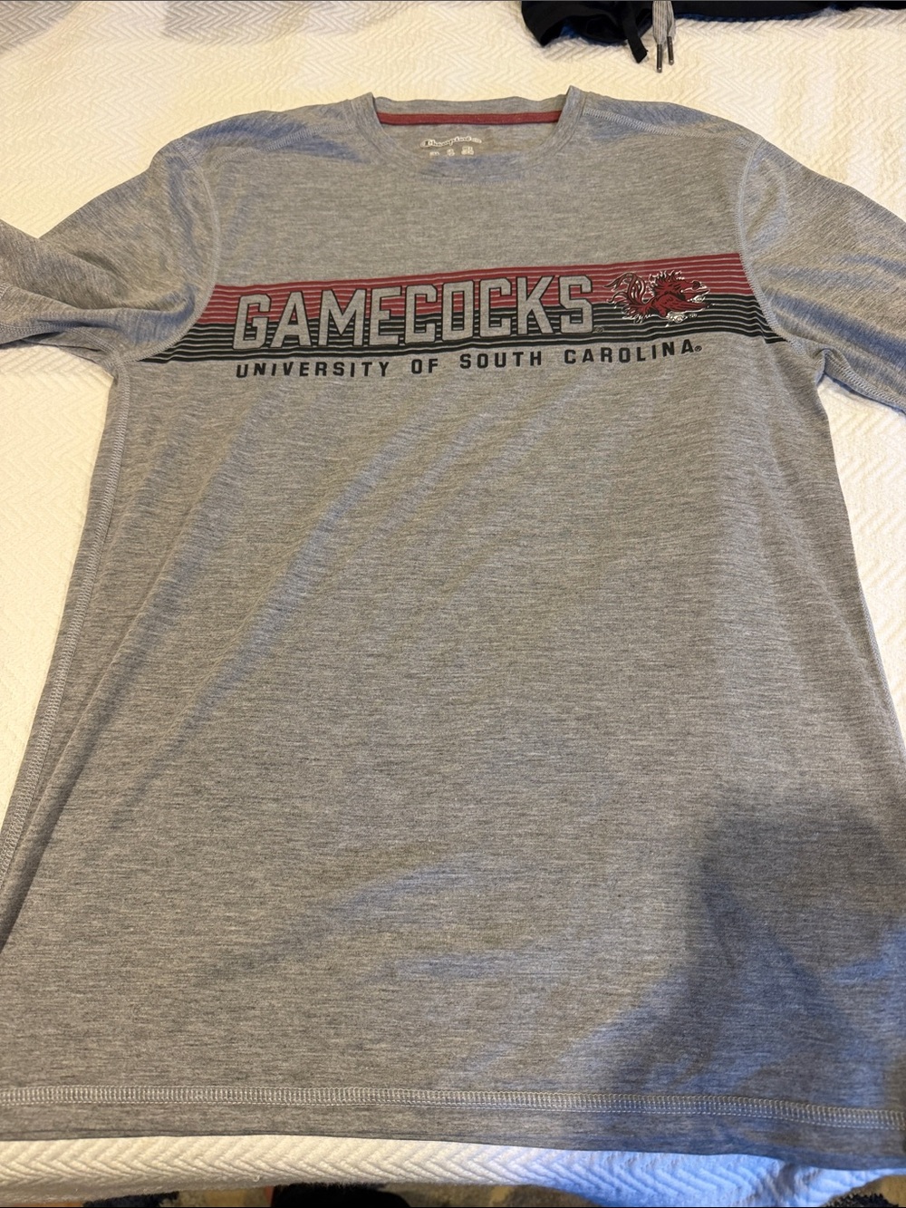 Gamecocks Champion Short Sleeve Graphic Tee